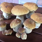 基尔斯穆赫乡村酒店 3* Vielbrunn