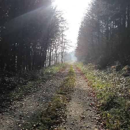 Landgasthof Geiersmühle 3*