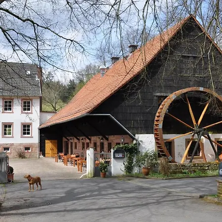 Hotel Landgasthof Geiersmühle Vielbrunn