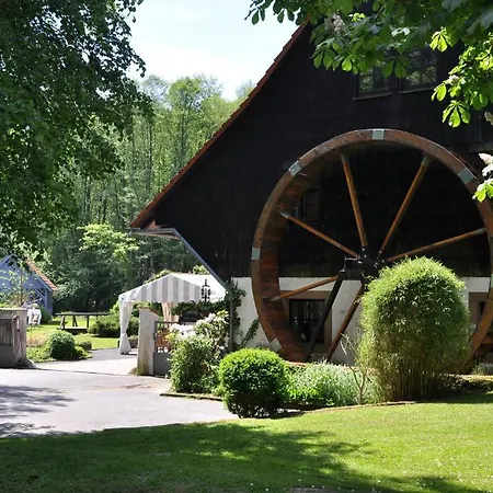 Landgasthof Geiersmuehle Hotel Vielbrunn